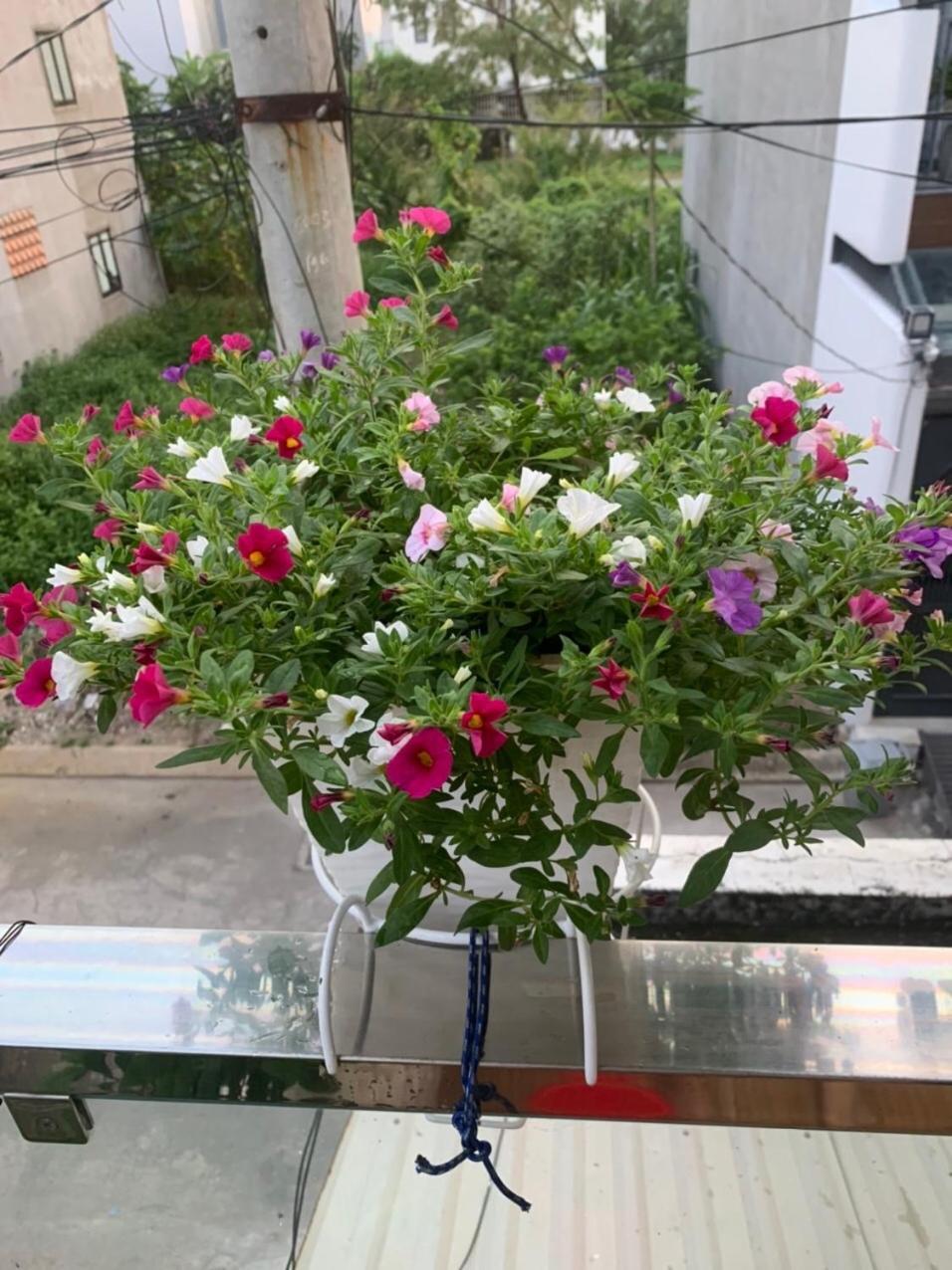 Thu Duc - Noi Nghi Ngoi Nhu O Nha, Am Ap Tinh Than Ở trọ TP. Hồ Chí Minh